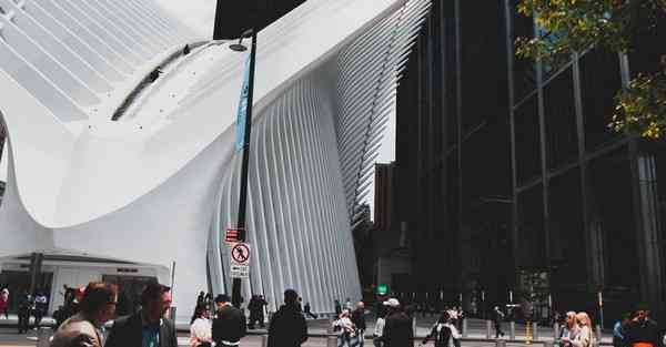 外国语单招大数据的行业文章