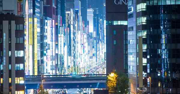 外国语单招大数据的行业文章