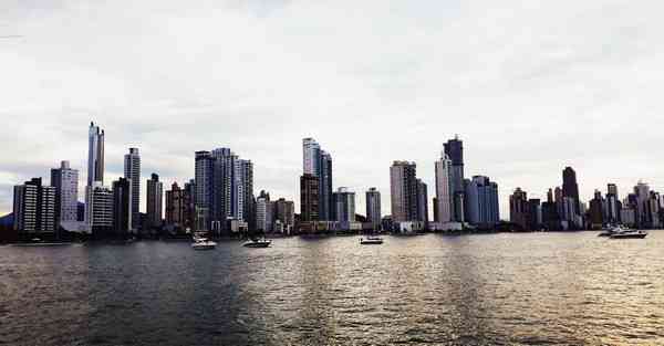 外国语单招大数据的行业文章