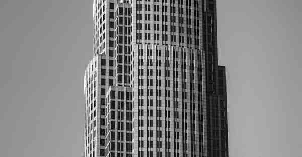 外国语单招大数据的行业文章