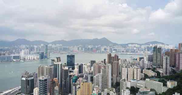 AI架构师培养技术