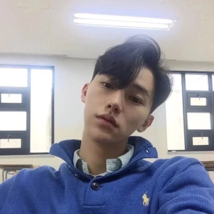 淳于琪政辰