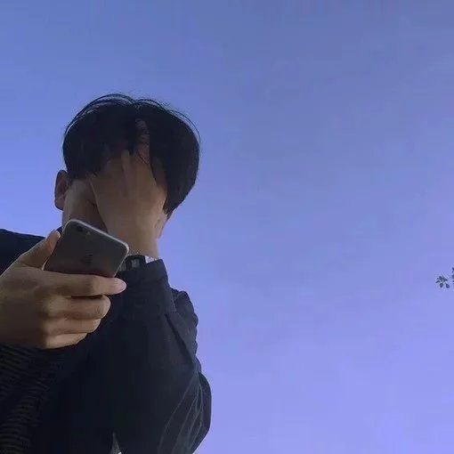 支辰飞寒