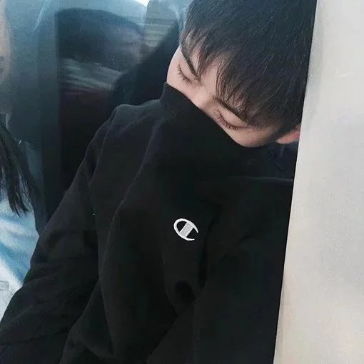 公孙晴丹竹