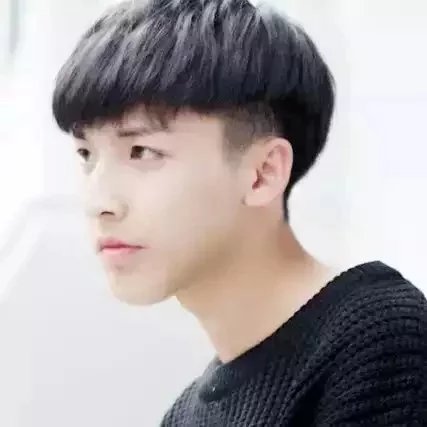 单于亮叶影